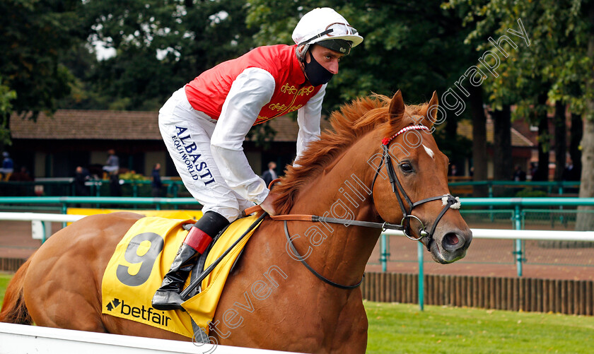 Golden-Horde-0001 
 GOLDEN HORDE (Adam Kirby)
Haydock 5 Sep 2020 - Pic Steven Cargill / Racingfotos.com