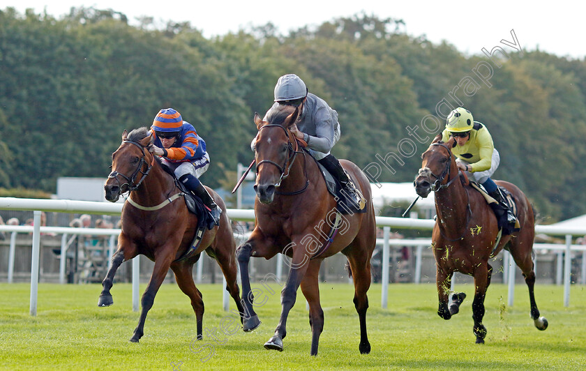 King s-Gamble-0002 
 KING'S GAMBLE (Daniel Tudhope) beats ZAIN BLUE (left) in The British Stallion Studs EBF Novice Stakes
Newmarket 4 Aug 2023 - Pic Steven Cargill / Racingfotos.com