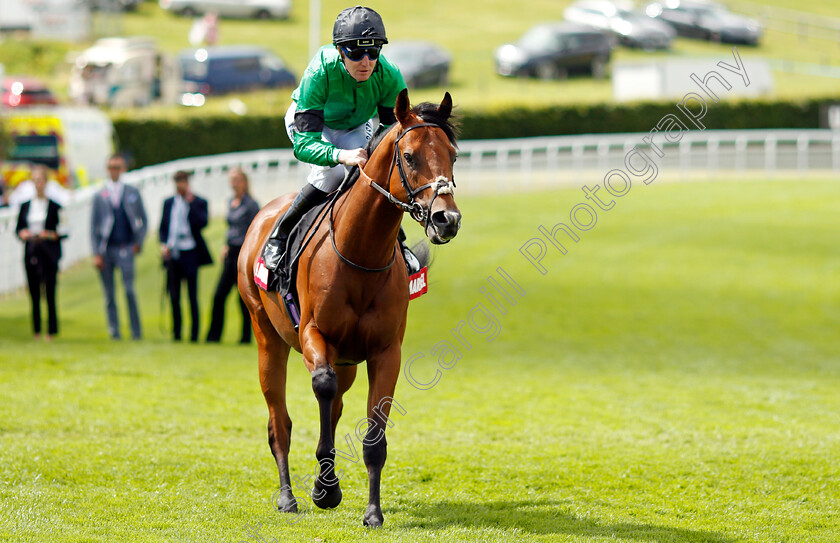 Mojomaker-0001 
 MOJOMKAKER (Pat Cosgrave)
Goodwood 28 Jul 2021 - Pic Steven Cargill / Racingfotos.com