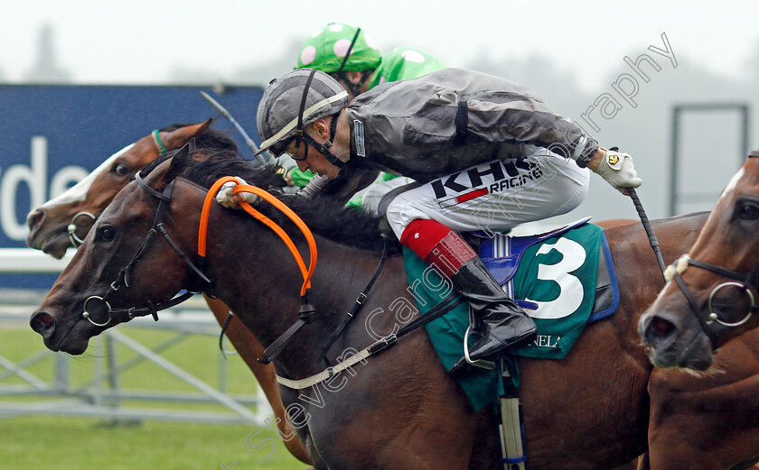 Delmona-0003 
 DELMONA (David Egan)
Ascot 24 Jul 2021 - Pic Steven Cargill / Racingfotos.com