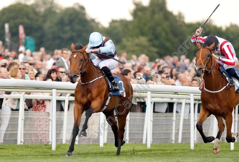 Fairyland-0004 
 FAIRYLAND (Ryan Moore) beats THE MACKEM BULLET (right) in The Sky Bet Lowther Stakes
York 23 Aug 2018 - Pic Steven Cargill / Racingfotos.com