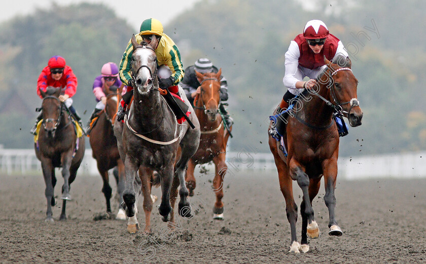 Graffiti-Master-0006 
 GRAFFITI MASTER (right, James Doyle) beats BAILEYS EXCELERATE (left) in The Matchbook British Stallion Studs EBF Novice Stakes Kempton 25 Sep 2017 - Pic Steven Cargill / Racingfotos.com