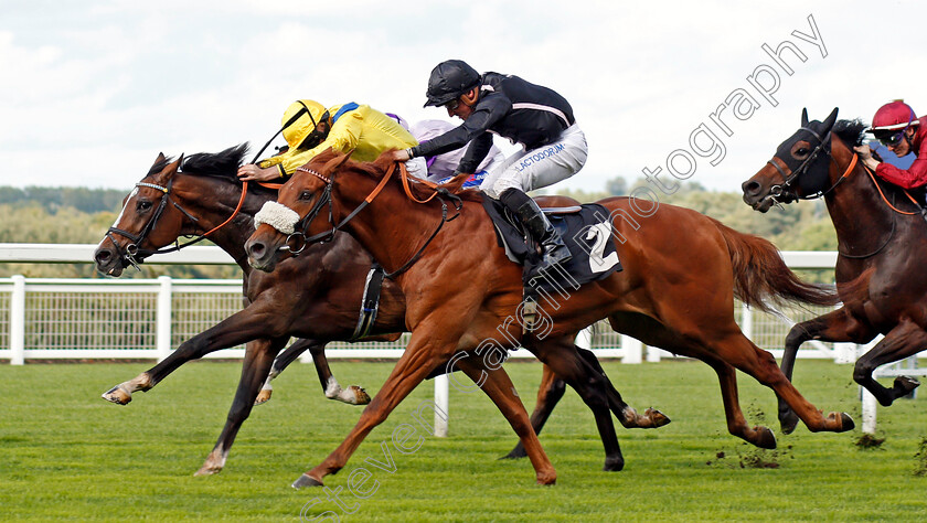 Reverend-Jacobs-0002 
 REVEREND JACOBS (farside, Ryan Moore) beats HANG MAN (nearside) in The Garden For All Seasons Maiden Stakes Ascot 8 Sep 2017 - Pic Steven Cargill / Racingfotos.com