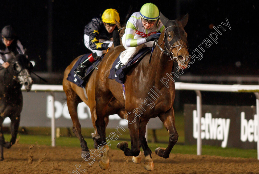 Mount-Wellington-0002 
 MOUNT WELLINGTON (Rob Hornby) wins The Betway Handicap
Wolverhampton 13 Jan 2020 - Pic Steven Cargill / Racingfotos.com