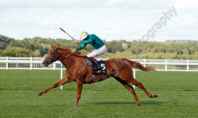 Scope-0005 
 SCOPE (Rob Hornby) wins The Harrogate Water Noel Murless Stakes
Ascot 1 Oct 2021 - Pic Steven Cargill / Racingfotos.com