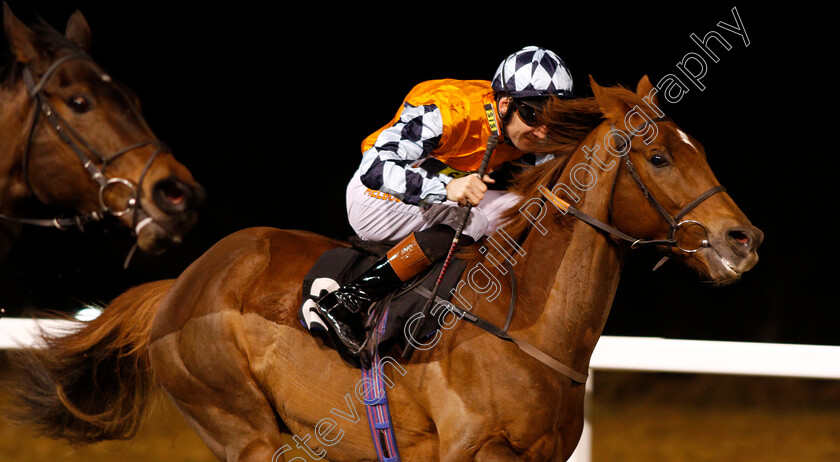 Ceyhan-0005 
 CEYHAN (Dougie Costello) wins The Bet toteWIN At Betfred.com Handicap Div1 Chelmsford 7 Dec 2017 - Pic Steven Cargill / Racingfotos.com