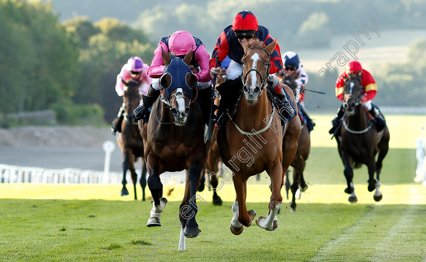 So-Near-So-Farhh-0003 
 SO NEAR SO FARHH (right, Franny Norton) beats JACOB CATS (left) in The comparebettingsites.com Handicap
Chepstow 2 Jul 2019 - Pic Steven Cargill / Racingfotos.com