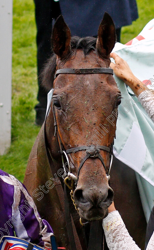 Snowfall-0020 
 SNOWFALL after The Cazoo Oaks 
Epsom 4 Jun 2021 - Pic Steven Cargill / Racingfotos.com