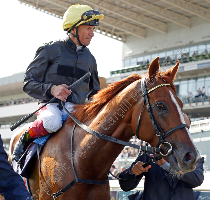 Stradivarius-0009 
 STRADIVARIUS (Frankie Dettori) after The Magners Rose Doncaster Cup
Doncaster 13 Sep 2019 - Pic Steven Cargill / Racingfotos.com