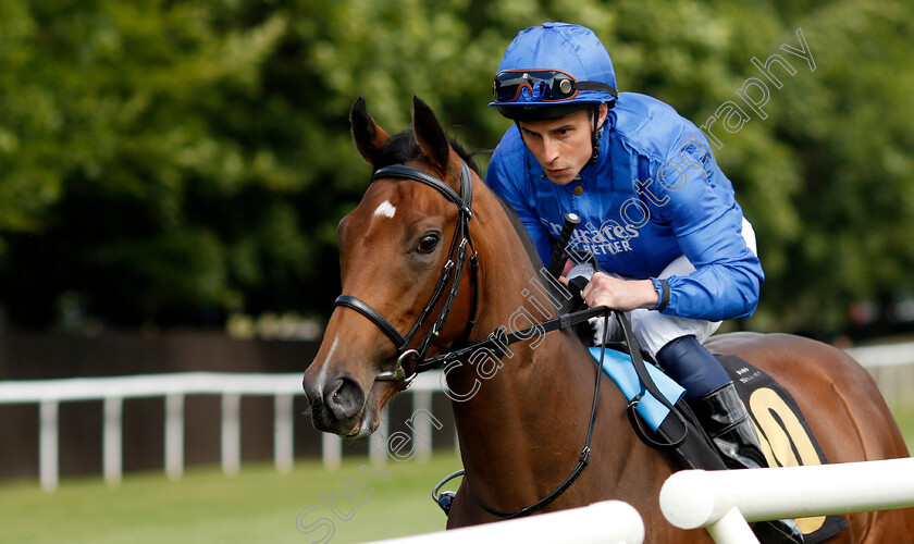 Scattering-Light-0001 
 SCATTERING LIGHT (William Buick)
Newmarket 28 Jun 2024 - Pic Steven Cargill / Racingfotos.com