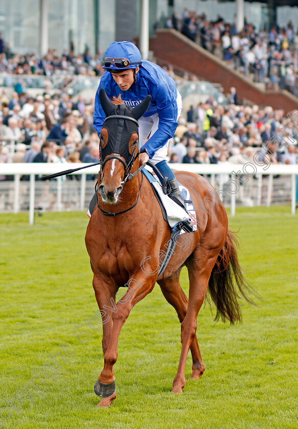 Jalmoud-0002 
 JALMOUD (William Buick)
York 21 Aug 2019 - Pic Steven Cargill / Racingfotos.com