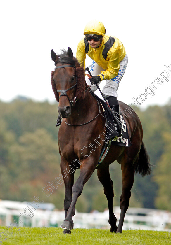 Country-0002 
 COUNTRY (Liam Jones)
Sandown 31 Aug 2019 - Pic Steven Cargill / Racingfotos.com