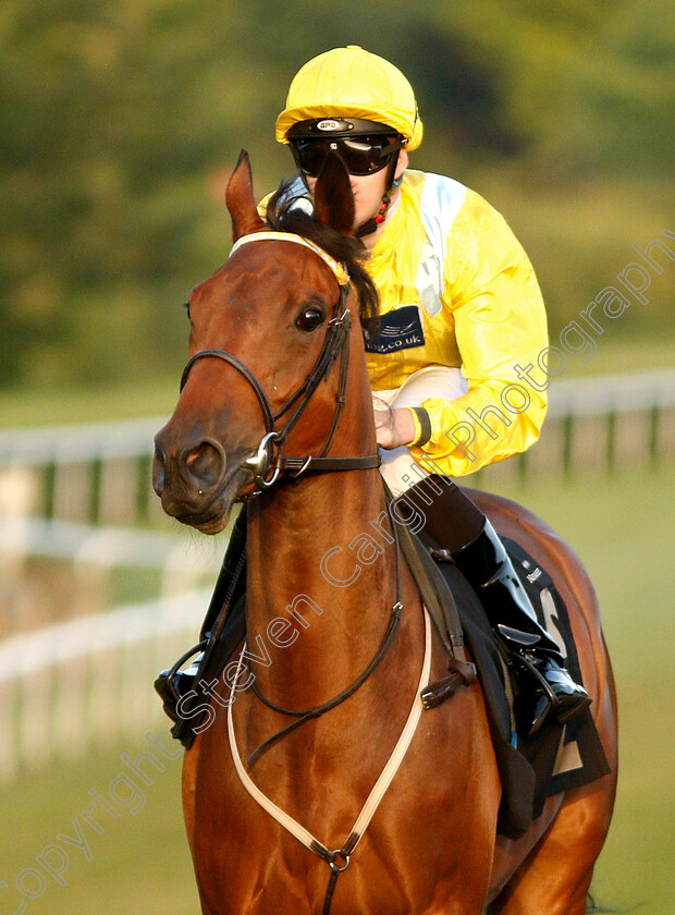 Daryana-0001 
 DARYANA (Charles Bishop)
Newmarket 28 Jun 2019 - Pic Steven Cargill / Racingfotos.com