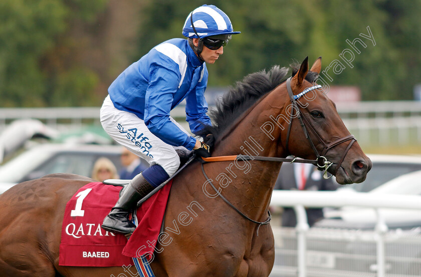 Baaeed-0001 
 BAAEED winner of The Qatar Sussex Stakes
Goodwood 27 Jul 2022 - Pic Steven Cargill / Racingfotos.com