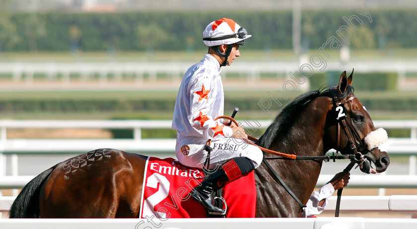 Gotti-0001 
 GOTTI (Antonio Fresu) Meydan 10 Mar 2018 - Pic Steven Cargill / Racingfotos.com