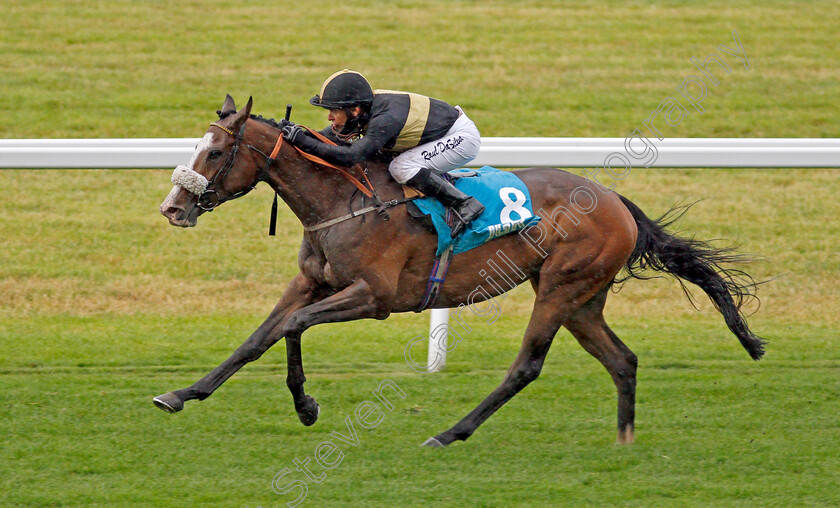 Table-Mountain-0005 
 TABLE MOUNTAIN (Raul Da Silva) wins The John Guest Racing Brown Jack Handicap
Ascot 25 Jul 2020 - Pic Steven Cargill / Racingfotos.com