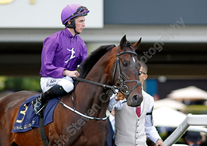 Crypto-Force-0001 
 CRYPTO FORCE (Rossa Ryan)
Royal Ascot 22 Jun 2024 - Pic Steven Cargill / Racingfotos.com