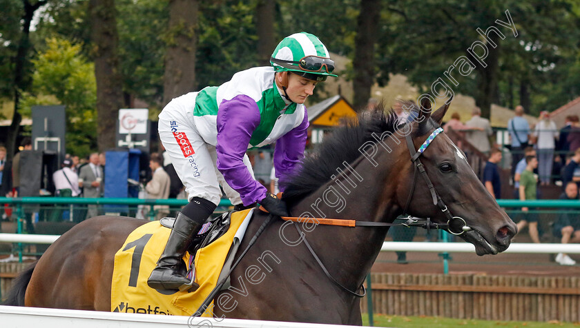 Vadream-0001 
 VADREAM (Hollie Doyle)
Haydock 7 Sep 2024 - Pic Steven Cargill / Racingfotos.com