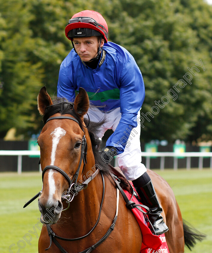 Wells-Farhh-Go-0001 
 WELLS FARHH GO (David Allan) before The Bahrain Trophy Stakes
Newmarket 12 Jul 2018 - Pic Steven Cargill / Racingfotos.com