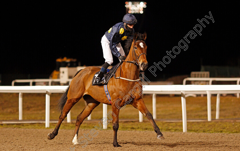 Shimmering-Dawn-0002 
 SHIMMERING DAWN (Tom Eaves) winner of The chelmsfordcityracecourse.com Fillies Conditions Stakes
Chelmsford 18 Feb 2021 - Pic Steven Cargill / Racingfotos.com