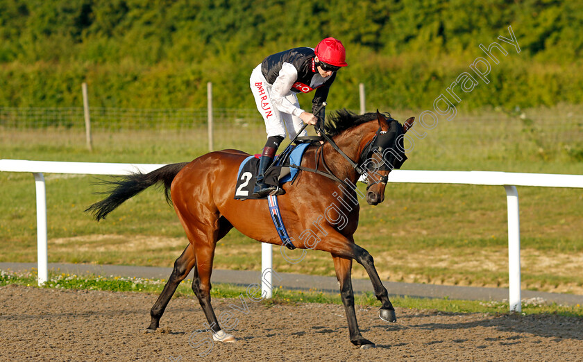 Peter-The-Great-0001 
 PETER THE GREAT (Robert Havlin) winner of The Racing With Pride Handicap
Chelmsford 7 Jun 2022 - Pic Steven Cargill / Racingfotos.com