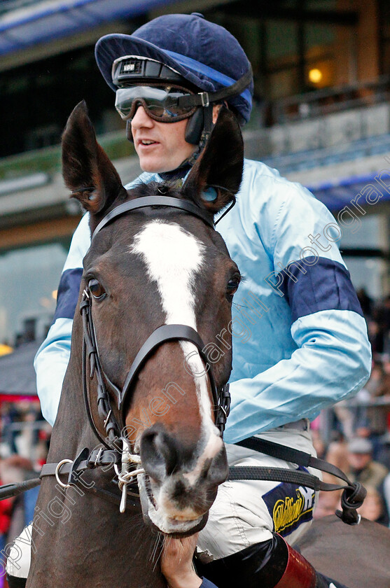 Crievehill-0002 
 CRIEVEHILL (Sam Twiston-Davies)
Ascot 21 Dec 2019 - Pic Steven Cargill / Racingfotos.com