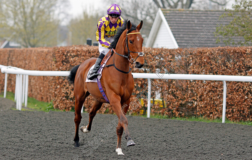 Pilot-Wings-0002 
 PILOT WINGS (Kieran Shoemark) Kempton 11 Apr 2018 - Pic Steven Cargill / Racingfotos.com