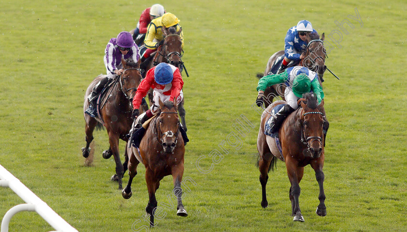 Veracious-0008 
 VERACIOUS (left, Oisin Murphy) beats ONE MASTER (right) in The Tattersalls Falmouth Stakes
Newmarket 12 Jul 2019 - Pic Steven Cargill / Racingfotos.com