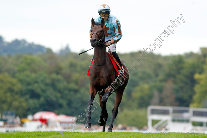 Stormy-Monday-0001 
 STORMY MONDAY (Tom Marquand)
Sandown 8 Aug 2024 - Pic Steven Cargill / Racingfotos.com