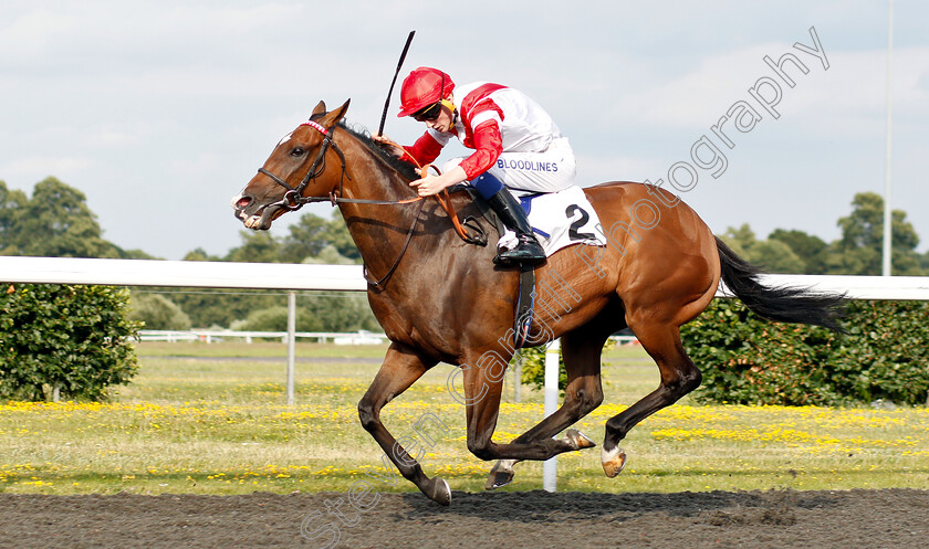 Fortune-And-Glory-0003 
 FORTUNE AND GLORY (David Egan) wins The Wise Betting At racingtv.com Handicap
Kempton 10 Jul 2019 - Pic Steven Cargill / Racingfotos.com