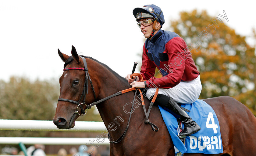 Johan-0001 
 JOHAN (James Doyle)
Newmarket 12 Oct 2019 - Pic Steven Cargill / Racingfotos.com