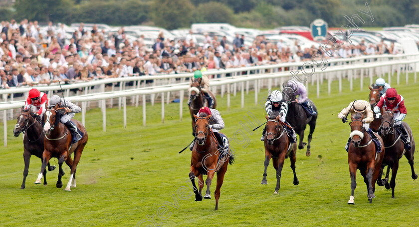 Lusail-0002 
 LUSAIL (Pat Dobbs) wins The Al Basti Equiworld Gimcrack Stakes
York 20 Aug 2021 - Pic Steven Cargill / Racingfotos.com