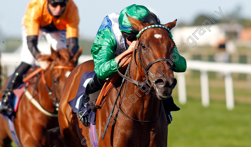 Arousing-0006 
 AROUSING (Tom Marquand) wins The British EBF Fillies Novice Stakes
Yarmouth 17 Sep 2020 - Pic Steven Cargill / Racingfotos.com