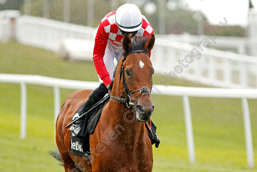 Dinoo-0003 
 DINOO (James Doyle)
Sandown 23 Aug 2020 - Pic Steven Cargill / Racingfotos.com