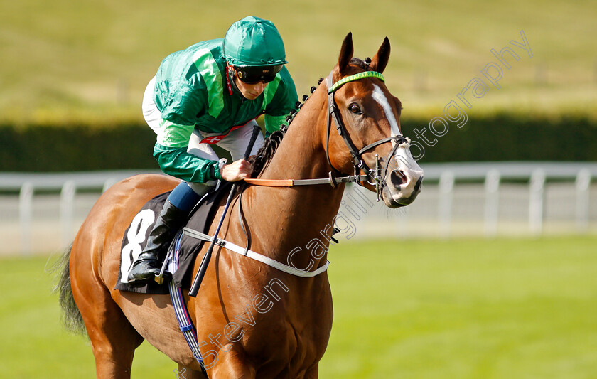 Some-Nightmare-0002 
 SOME NIGHTMARE (William Buick) winner of The Inkerman Handicap
Goodwood 22 Sep 2021 - Pic Steven Cargill / Racingfotos.com