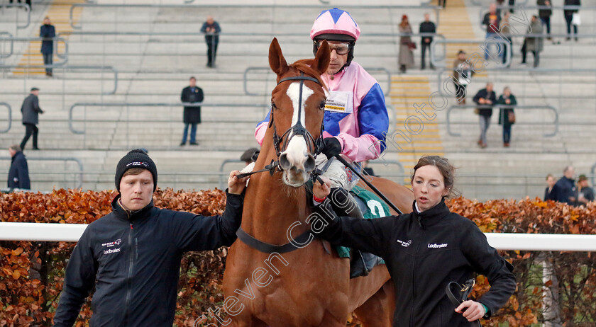 Fortune-De-Mer-0005 
 FORTUNE DE MER (Harry Skelton) winner of The Junior Jumpers Open National Hunt Flat Race
Cheltenham 17 Nov 2024 - Pic Steven Cargill / racingfotos.com