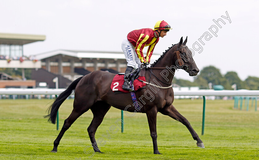 Bollin-Margaret-0001 
 BOLLIN MARGARET (David Allan)
Haydock 2 Sep 2022 - Pic Steven Cargill / Racingfotos.com