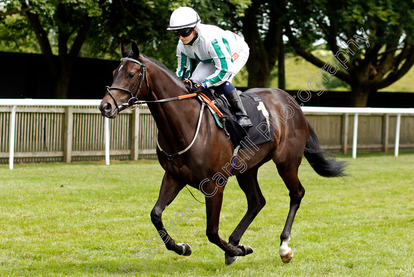 Blaast-0001 
 BLAAST (Hollie Doyle)
Newmarket 26 Jun 2021 - Pic Steven Cargill / Racingfotos.com