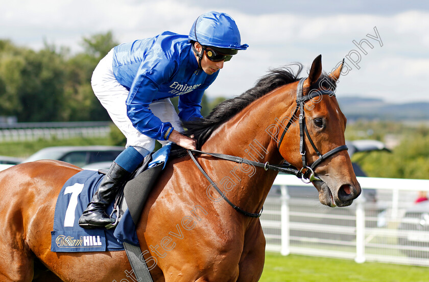 Falling-Shadow-0002 
 FALLING SHADOW (William Buick)
Goodwood 27 Aug 2022 - Pic Steven Cargill / Racingfotos.com