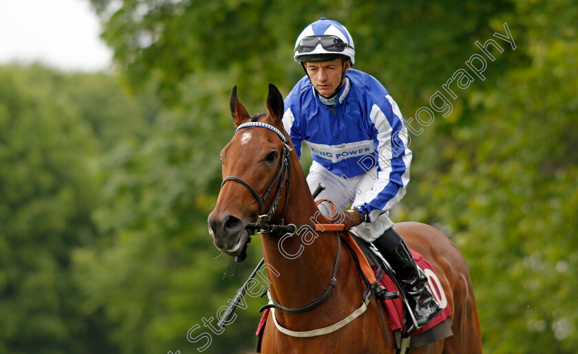 Winter-Power 
 WINTER POWER (David Allan)
Haydock 21 May 2022 - Pic Steven Cargill / Racingfotos.com