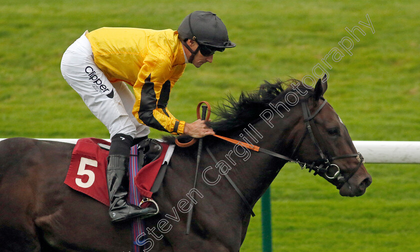 Luther-0001 
 LUTHER (Daniel Tudhope) wins The Betfair Ascendant Stakes
Haydock 7 Sep 2024 - Pic Steven Cargill / Racingfotos.com