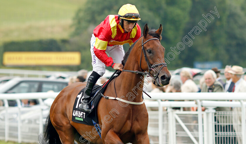 Data-Protection-0001 
 DATA PROTECTION (P J McDonald)
Goodwood 27 Jul 2021 - Pic Steven Cargill / Racingfotos.com