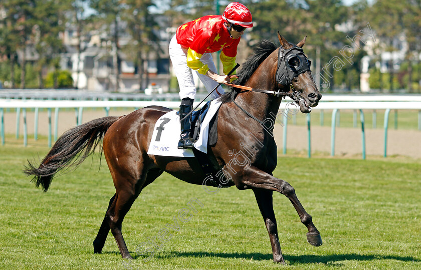 Artorius-0003 
 ARTORIUS (Jamie Spencer)
Deauville 7 Aug 2022 - Pic Steven Cargill / Racingfotos.com