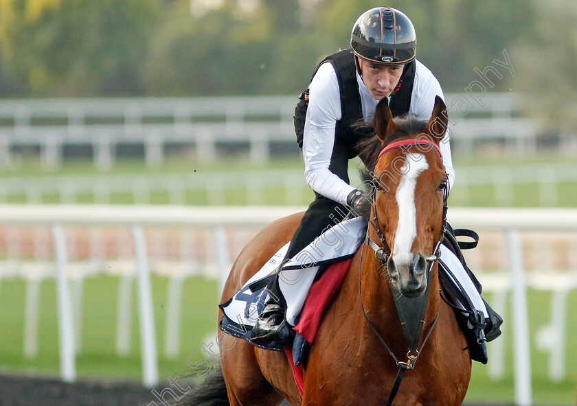 Silky-Wilkie-0001 
 SILKY WILKIE training at the Dubai Racing Carnival 
Meydan 2 Jan 2025 - Pic Steven Cargill / Racingfotos.com