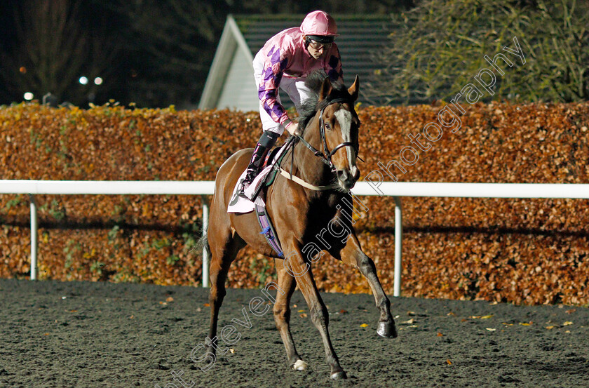 Jalwan-0001 
 JALWAN (Robert Havlin)
Kempton 27 Nov 2019 - Pic Steven Cargill / Racingfotos.com