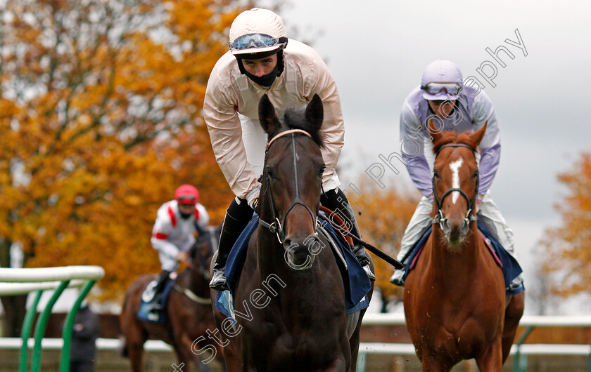 Genuflex-0001 
 GENUFLEX (Rossa Ryan)
Newmarket 21 Oct 2020 - Pic Steven Cargill / Racingfotos.com