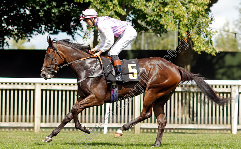 Renaissance-0002 
 RENAISSANCE (David Nolan)
Newmarket 7 Aug 2021 - Pic Steven Cargill / Racingfotos.com