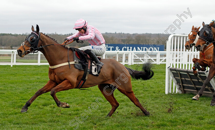 Honor-Grey-0002 
 HONOR GREY (Ben Jones) wins The Ascot Racecourse Supports Box4kids Handicap Hurdle
Ascot 17 Feb 2024 - Pic Steven Cargill / Racingfotos.com