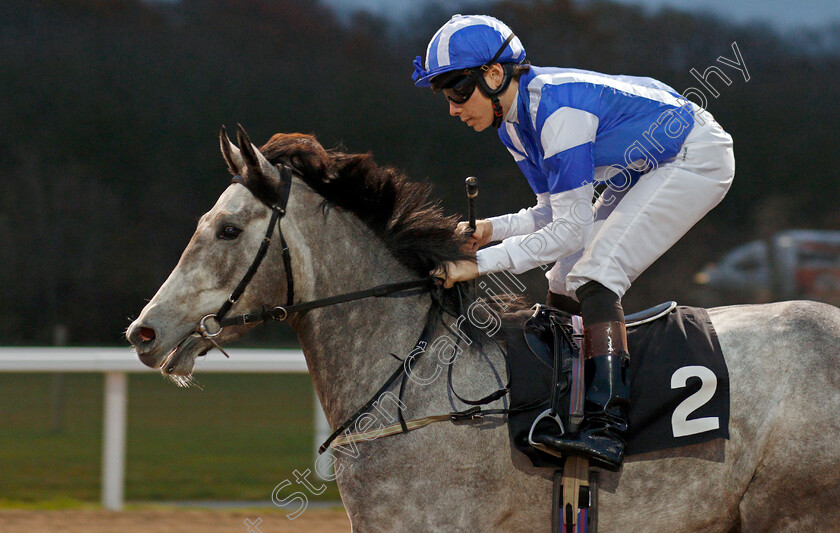 Arabescato-0001 
 ARABESCATO (Callum Shepherd)
Chelmsford 25 Nov 2019 - Pic Steven Cargill / Racingfotos.com