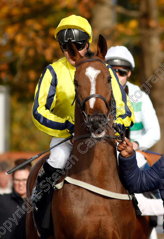 Earthy-Mangold-0001 
 EARTHY MANGOLD (Tom Queally)
Newmarket 19 Oct 2022 - Pic Steven Cargill / Racingfotos.com